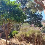 Sur Les Hauteurs De Collioure