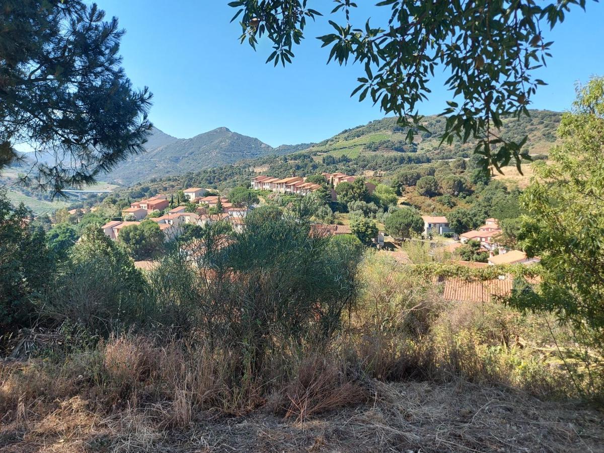Sur Les Hauteurs De * Collioure